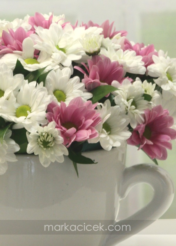 Fincan Vazoda Kır Çiçekleri