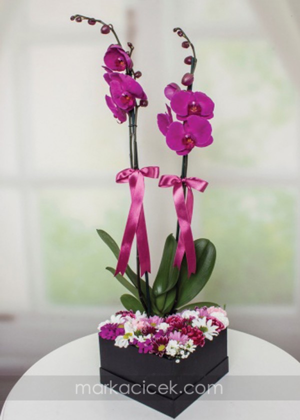 Mor Orkide ve Kır Çiçekleri