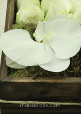 Beyaz Güller ve Orkide
